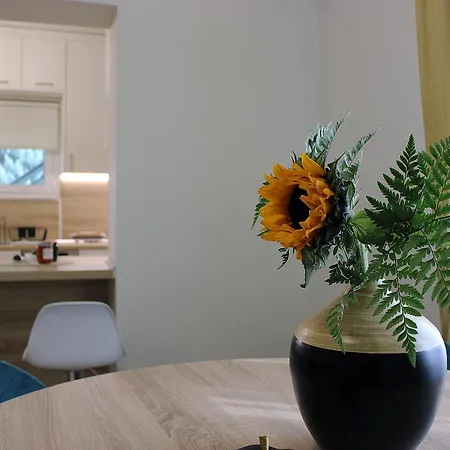 Luxury Captain's Corner In Trikala, 3bd شقة *